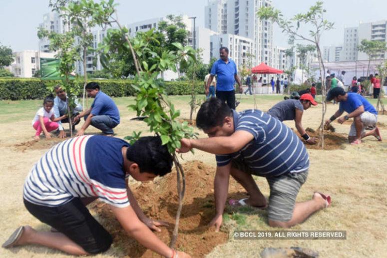 Challenges Pre and Post-Plantation