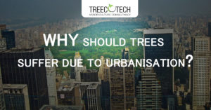 Urbanization Affecting the Health of the Trees