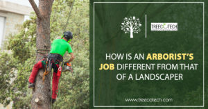 How is an Arborist’s Job Different from that of a Landscaper