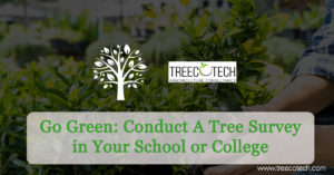 Go Green Conduct A Tree Survey in Your School or College