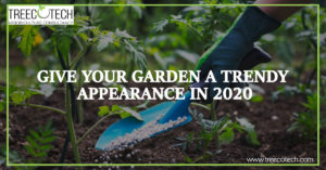 Give your Garden a Trendy Appearance in 2020