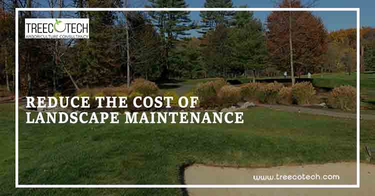 How to Reduce the Cost of Landscape Maintenance?