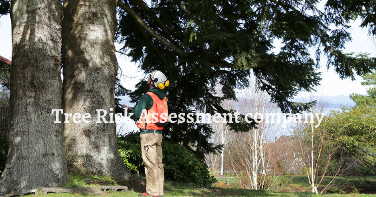 Our Tree Risk Assessments servies are part of a tree management plan for residential, business or academic properties. Treeco tech is India's best Tree Risk Assessment Company in India.