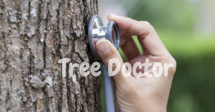 Tree Doctor