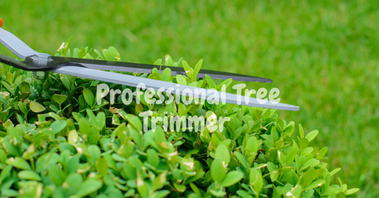 Tree Trimmer